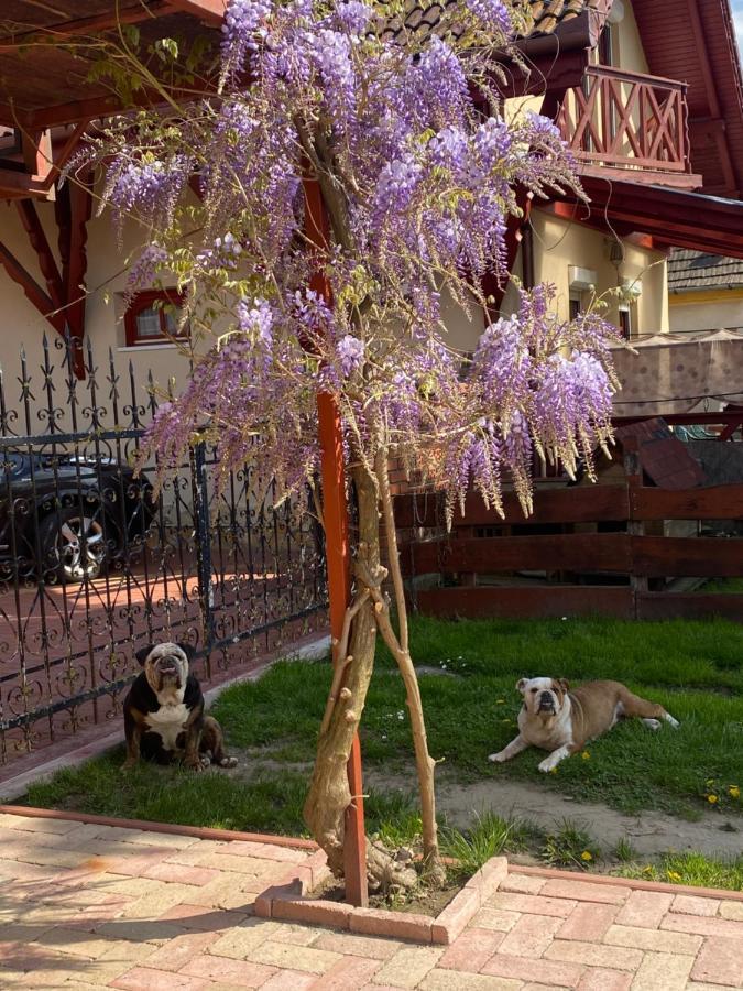 Villa Negra Motel Berzence Εξωτερικό φωτογραφία