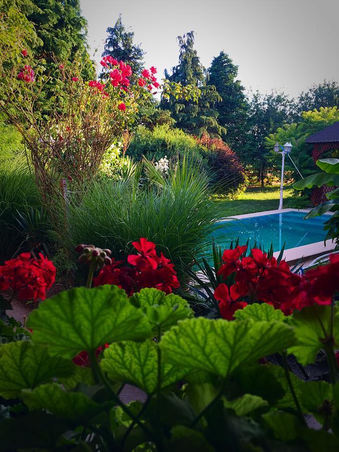 Villa Negra Motel Berzence Εξωτερικό φωτογραφία