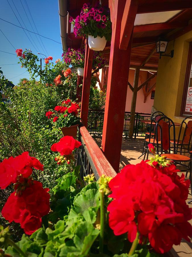 Villa Negra Motel Berzence Εξωτερικό φωτογραφία