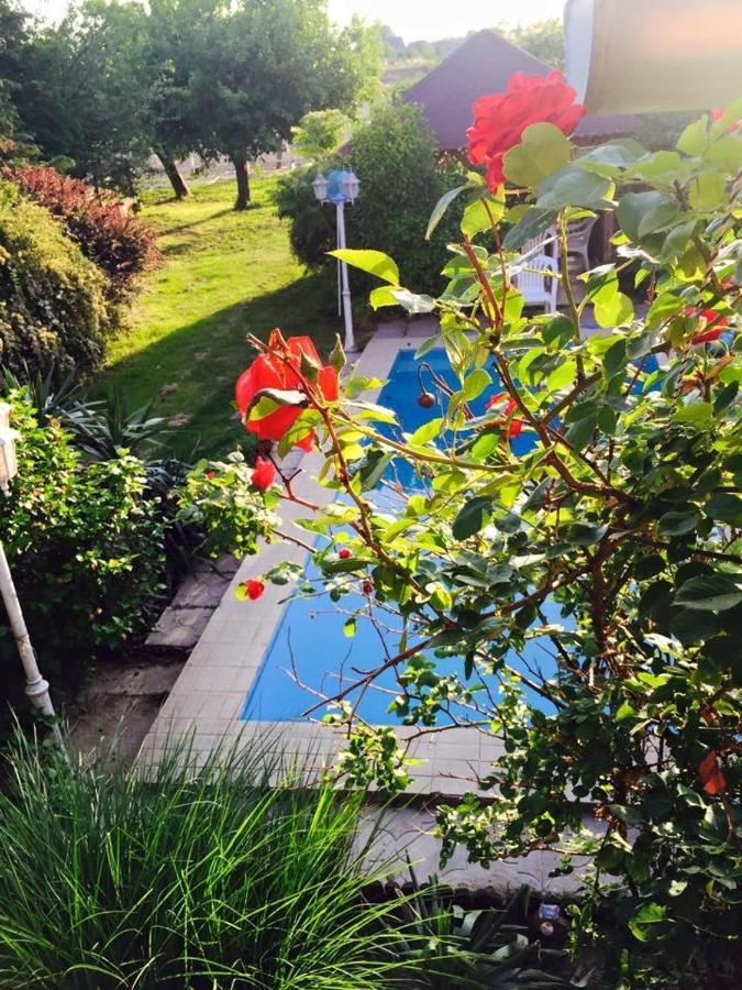 Villa Negra Motel Berzence Εξωτερικό φωτογραφία